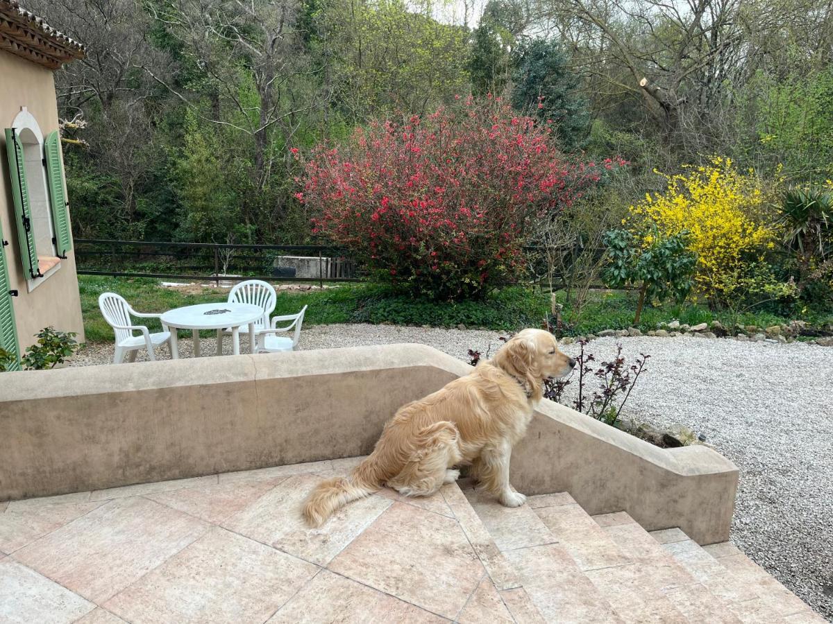 Bastide Du Maoupas Gîtes Belgentier Extérieur photo