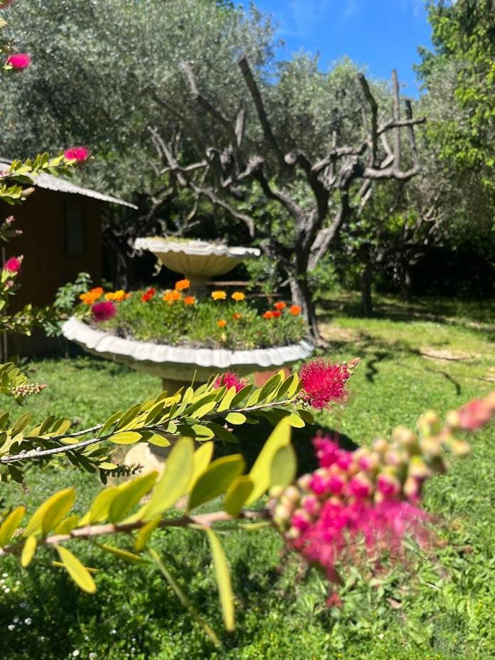 Bastide Du Maoupas Gîtes Belgentier Extérieur photo