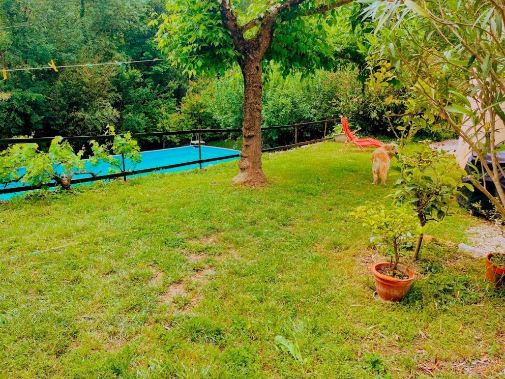 Bastide Du Maoupas Gîtes Belgentier Extérieur photo