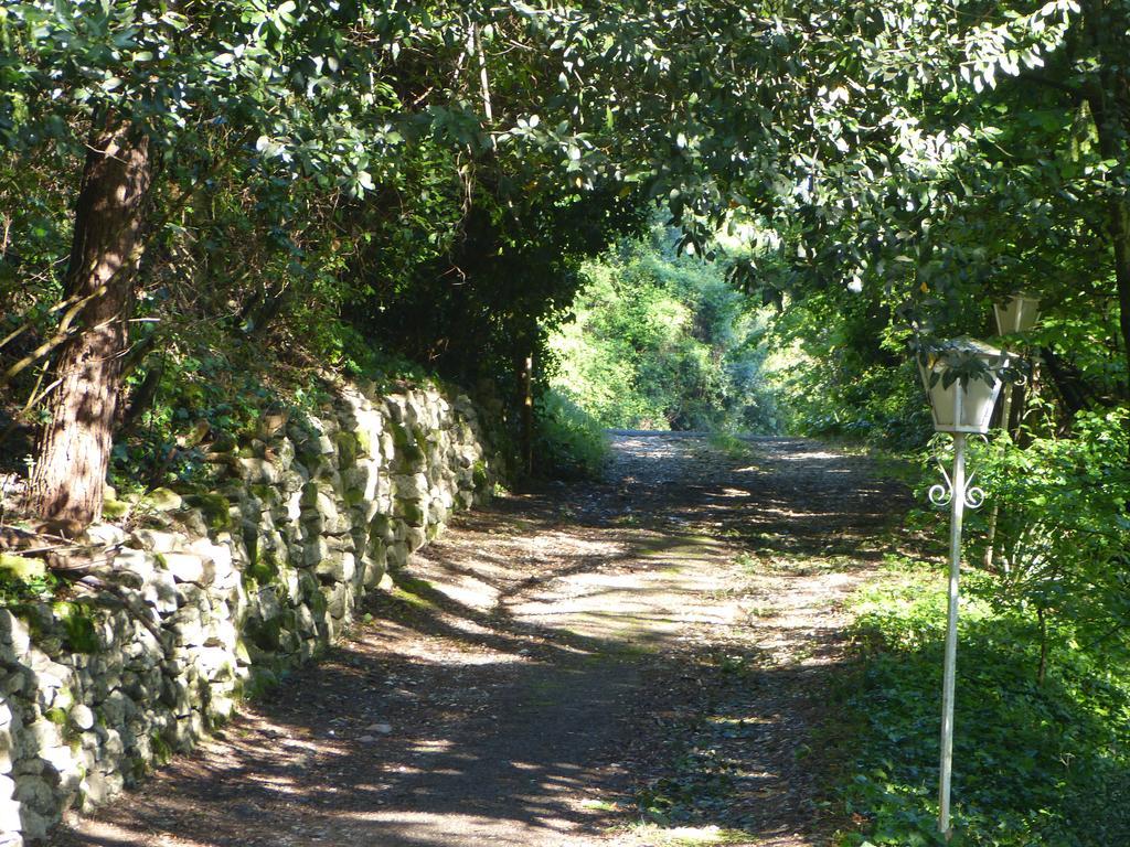 Bastide Du Maoupas Gîtes Belgentier Extérieur photo